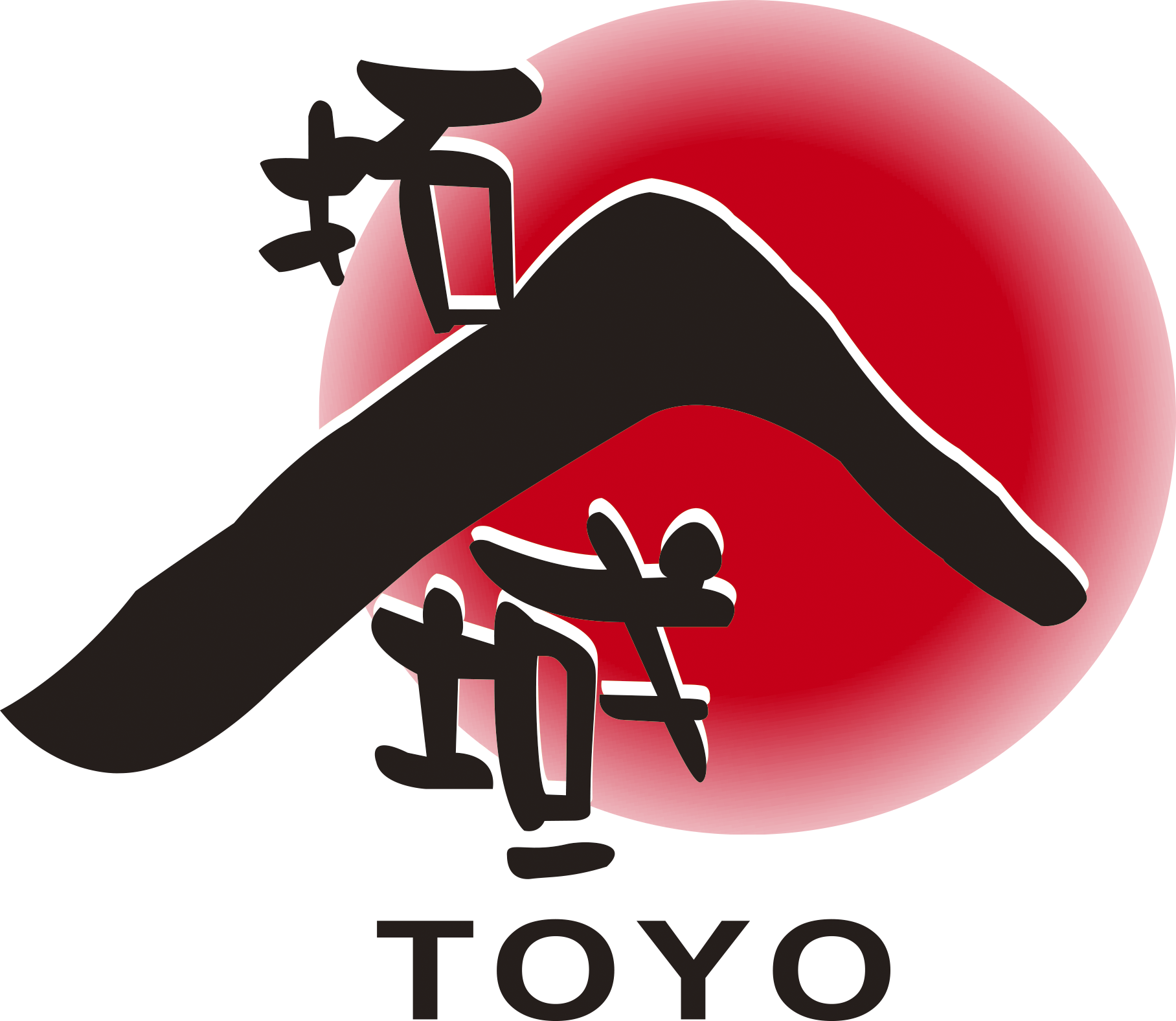 Шанхай ТОЙО поставщик из Китая