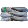 Frozen fish Silver Warehou, block 6 kg