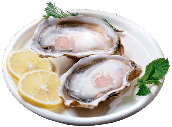 Fresh/Frozen Oysters