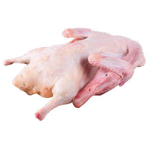 Frozen whole duck