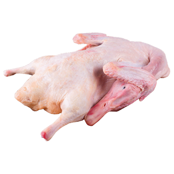 Frozen whole duck